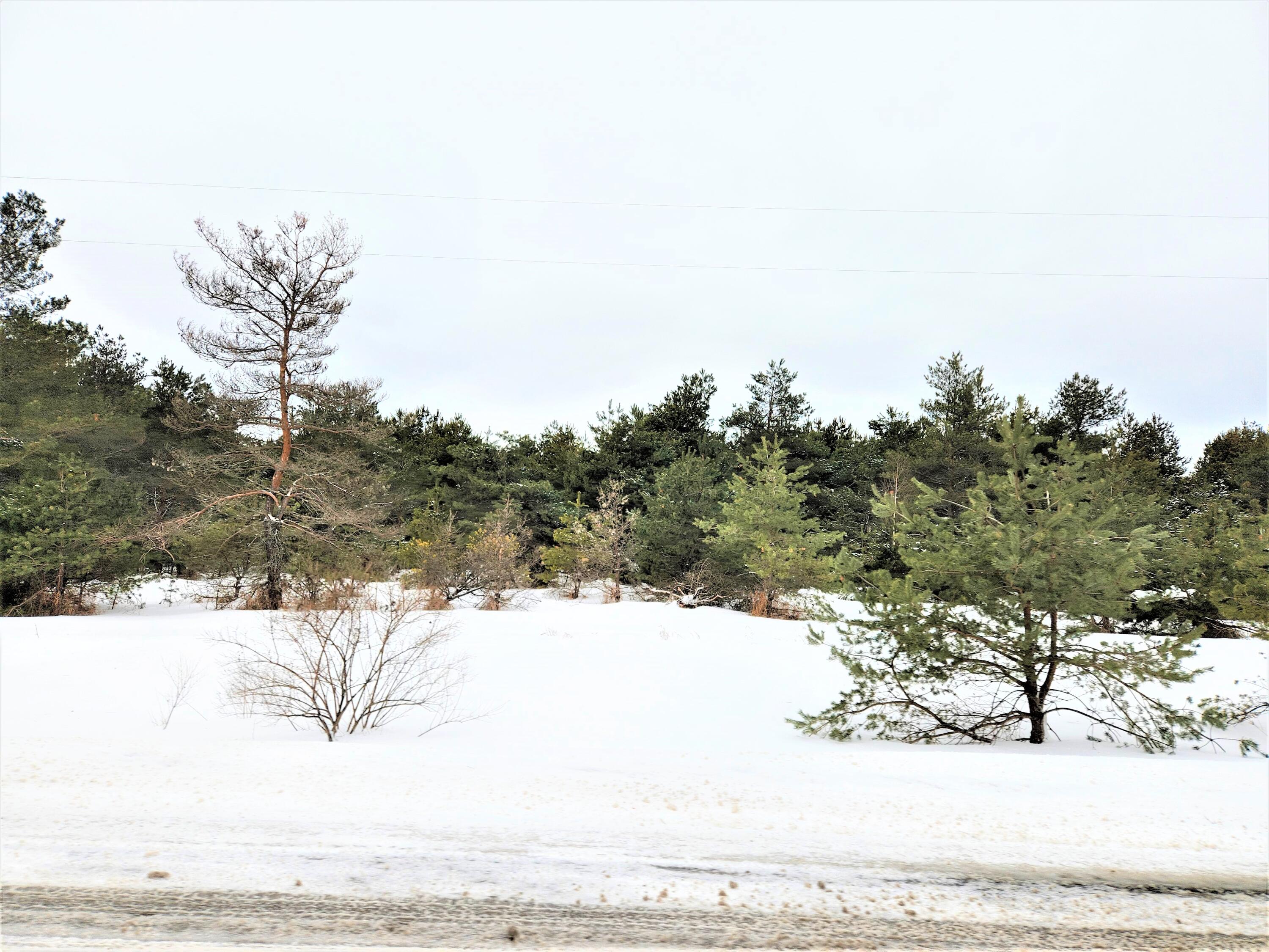 Church Road Cheboygan, MI 49721 - Photo 6 of 7 Gallery Image 6