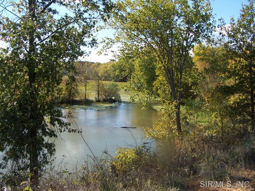 Woburn Road Greenville, IL 62246 - Photo 3 of 4