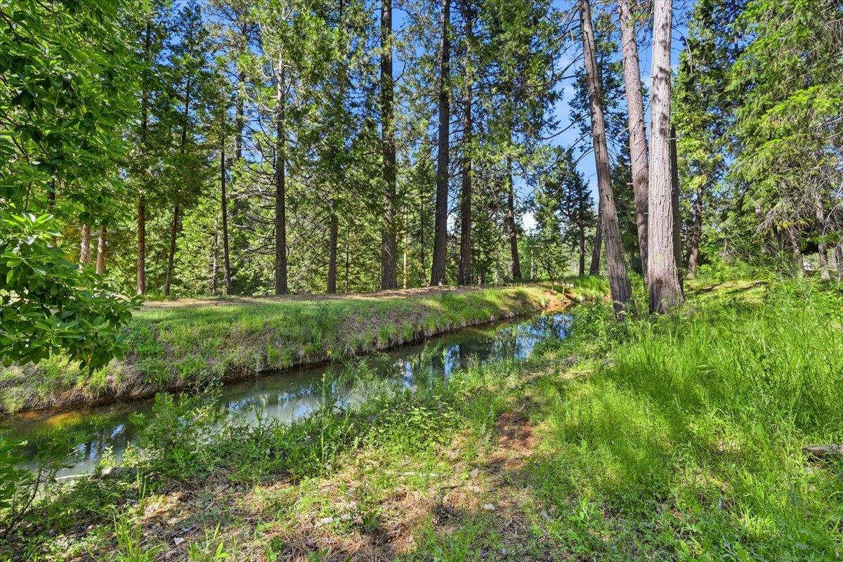 11021 Pittsburg Mine Road Nevada City, CA 95959 - Photo 10 of 36