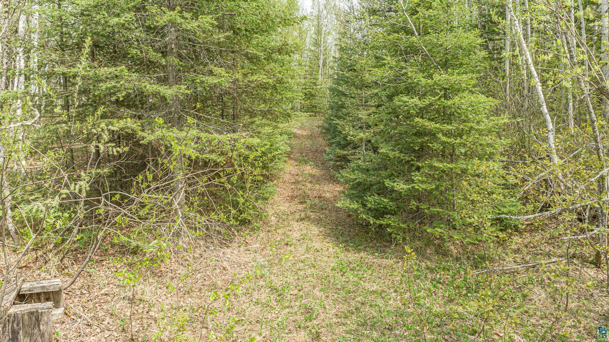 Tbd Stony Loop Road Isabella, MN 55607 - Photo 11 of 29