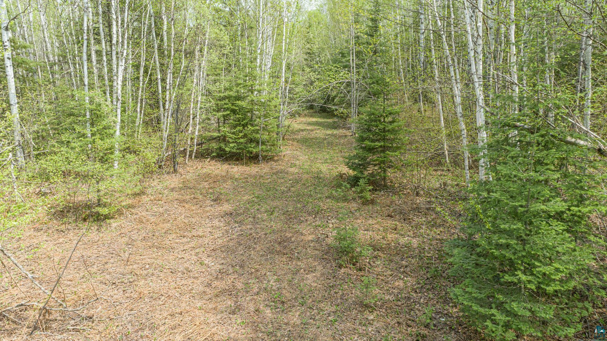 Tbd Stony Loop Road Isabella, MN 55607 - Photo 12 of 29