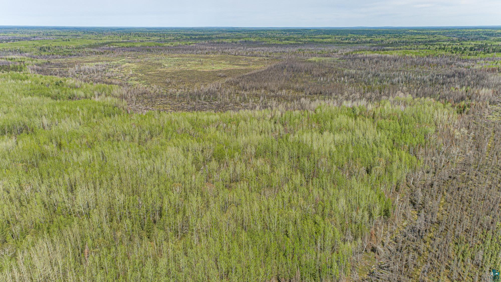 Tbd Stony Loop Road Isabella, MN 55607 - Photo 13 of 29