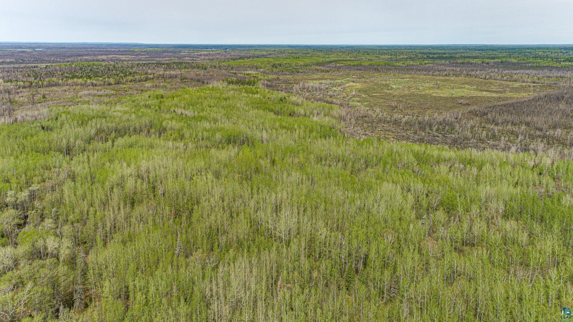 Tbd Stony Loop Road Isabella, MN 55607 - Photo 14 of 29