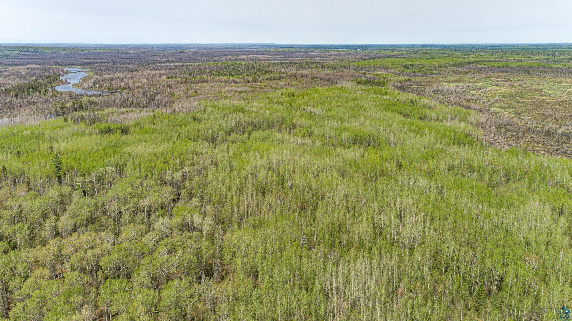 Tbd Stony Loop Road Isabella, MN 55607 - Photo 15 of 29