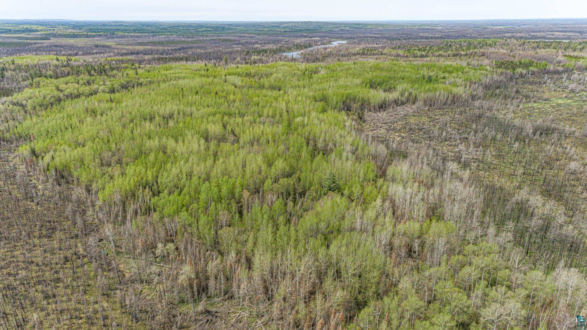 Tbd Stony Loop Road Isabella, MN 55607 - Photo 16 of 29