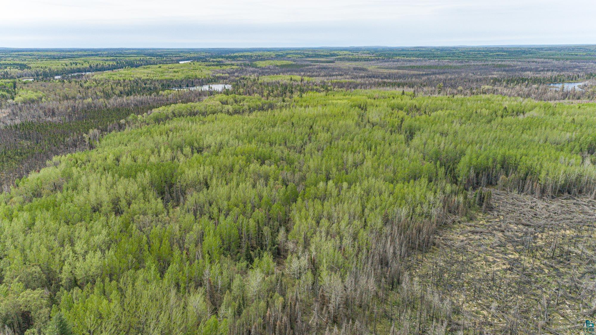 Tbd Stony Loop Road Isabella, MN 55607 - Photo 18 of 29