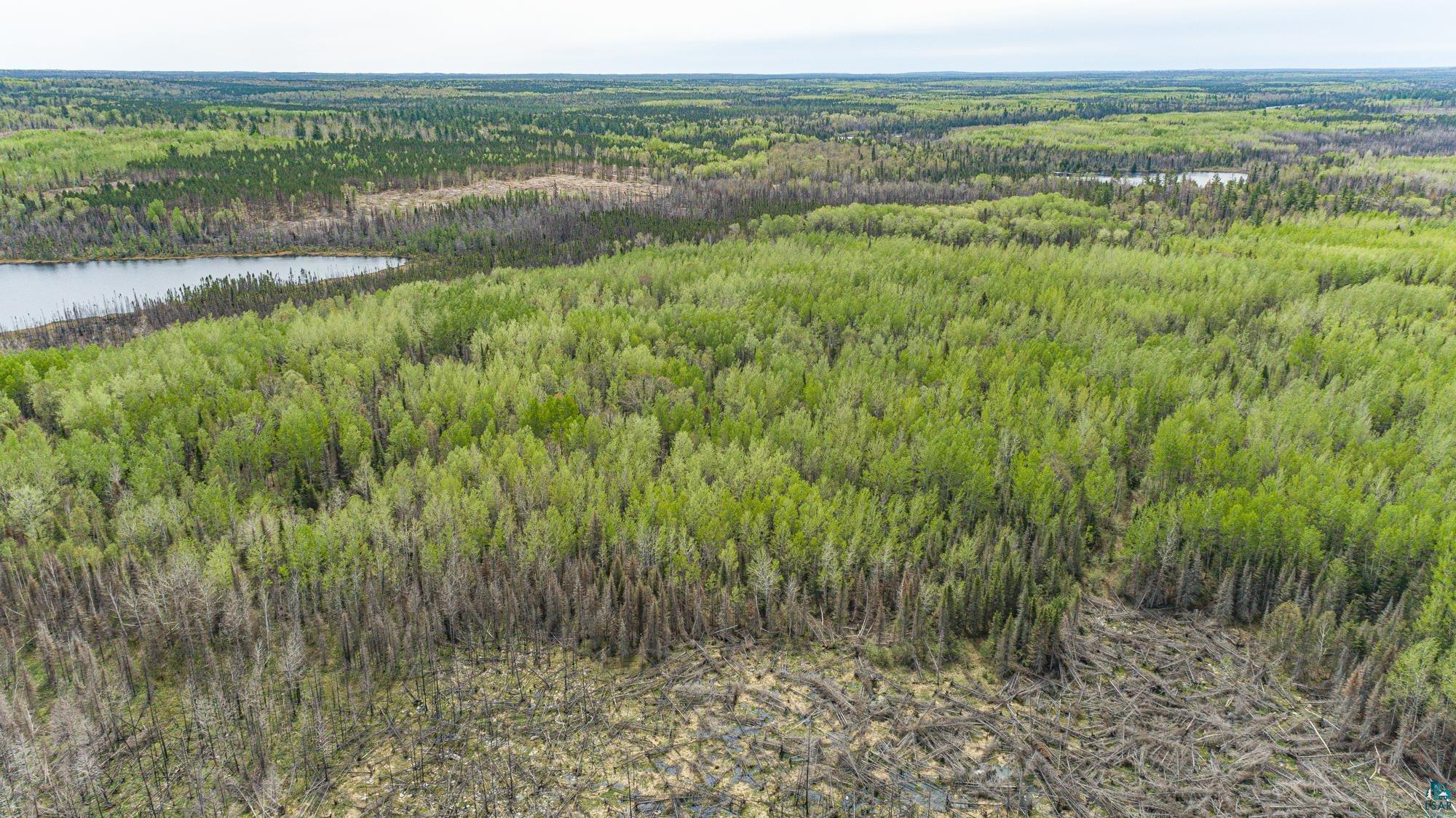 Tbd Stony Loop Road Isabella, MN 55607 - Photo 19 of 29