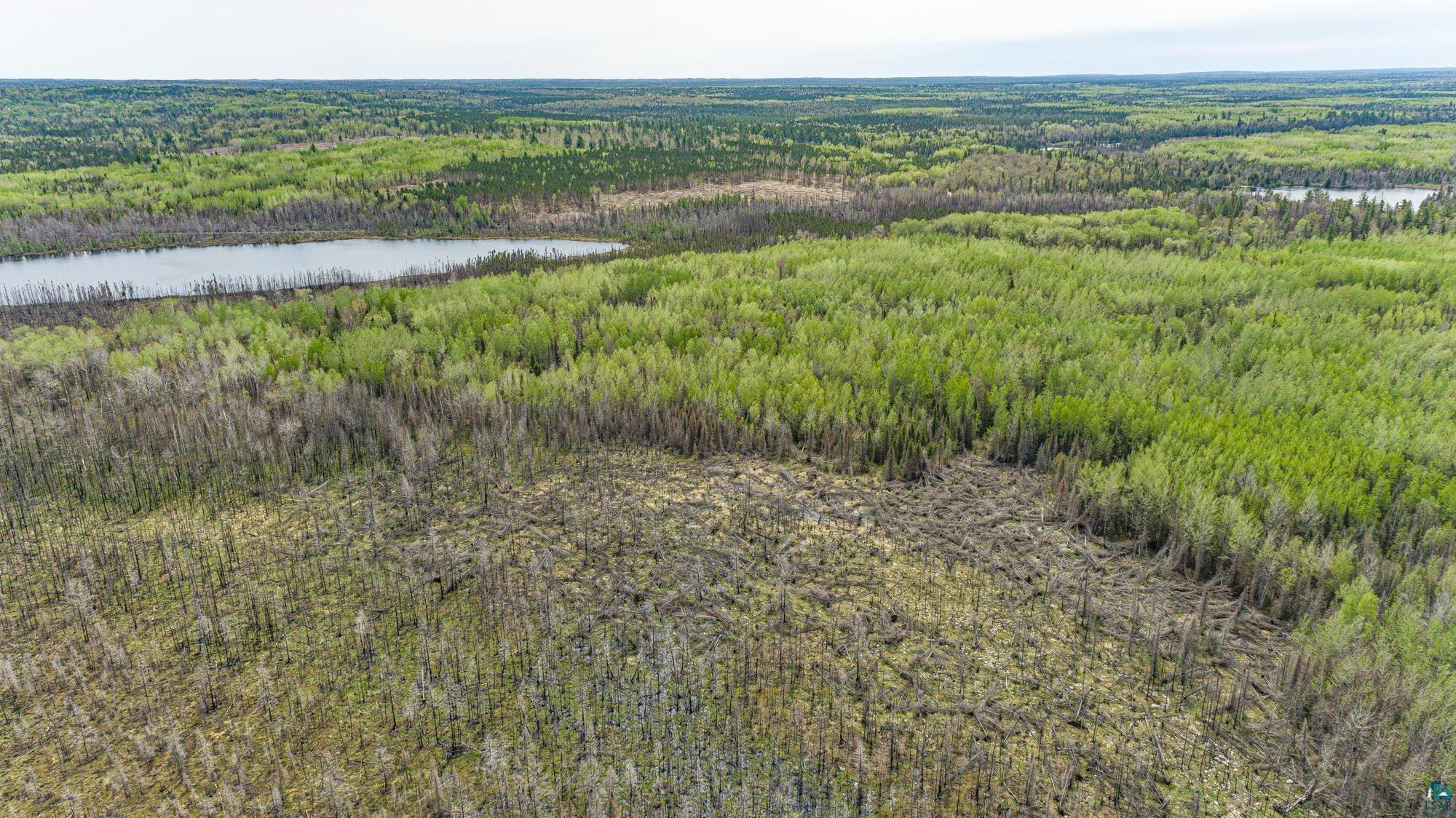 Tbd Stony Loop Road Isabella, MN 55607 - Photo 21 of 29