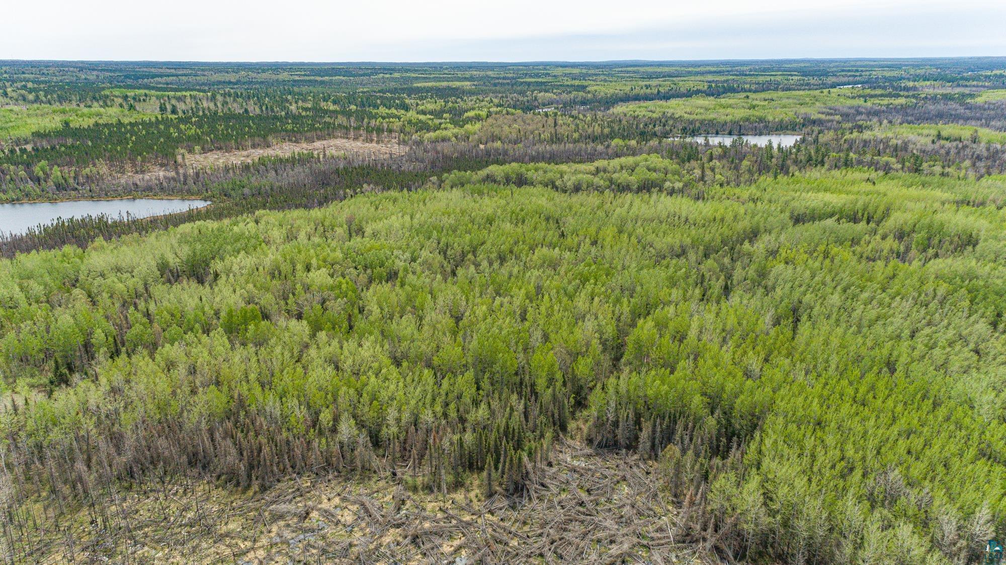 Tbd Stony Loop Road Isabella, MN 55607 - Photo 22 of 29