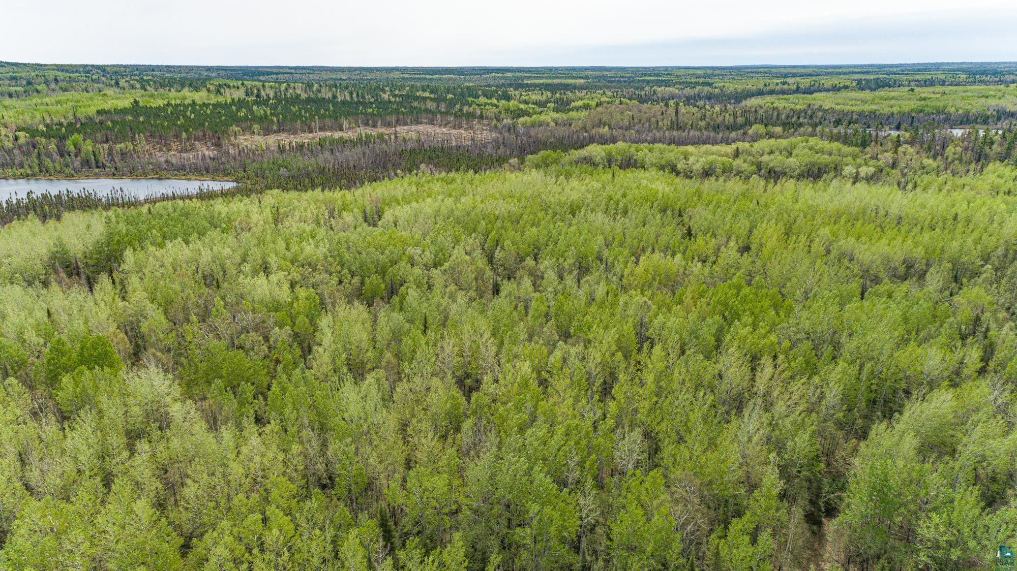 Tbd Stony Loop Road Isabella, MN 55607 - Photo 25 of 29