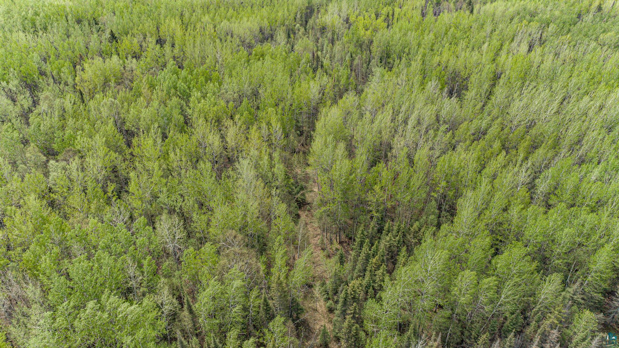 Tbd Stony Loop Road Isabella, MN 55607 - Photo 26 of 29