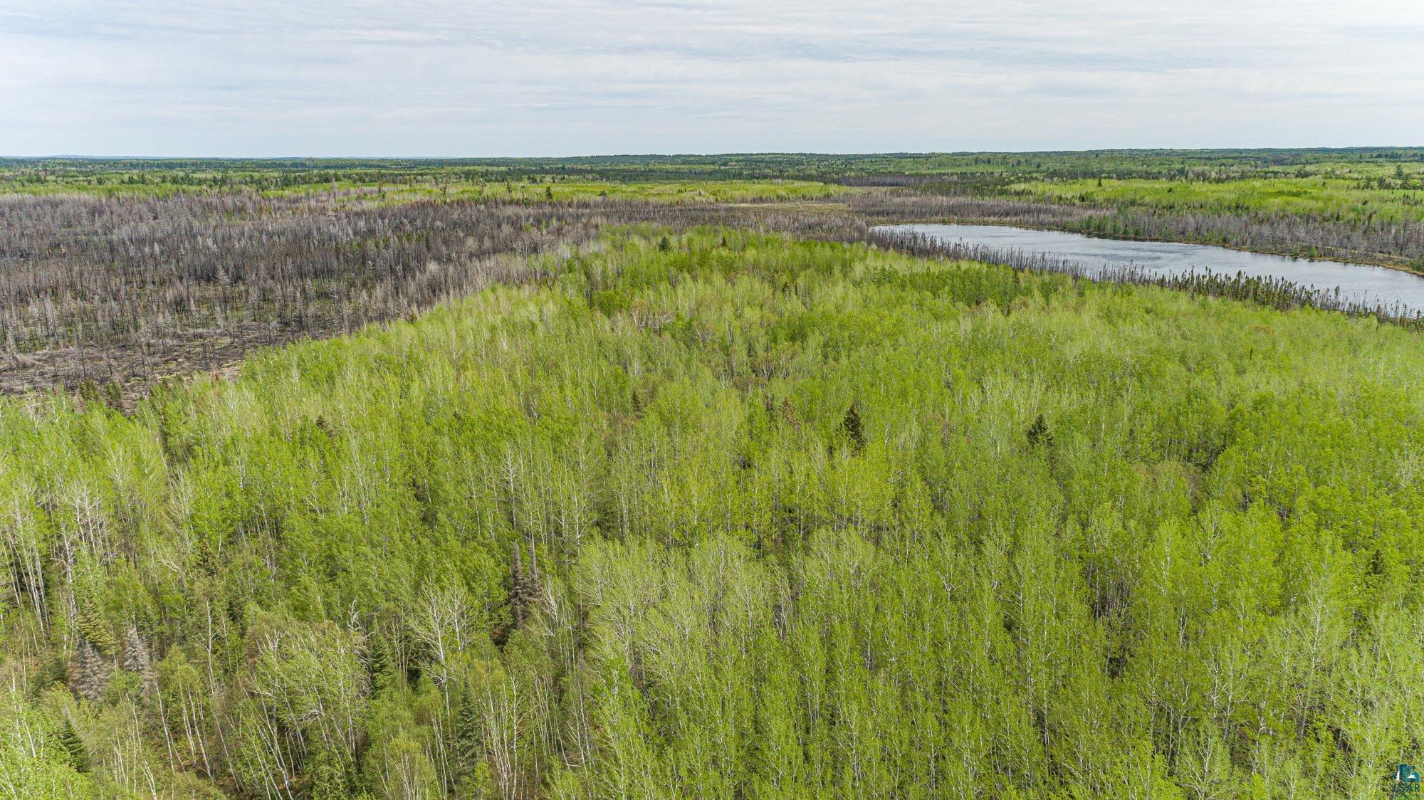 Tbd Stony Loop Road Isabella, MN 55607 - Photo 28 of 29