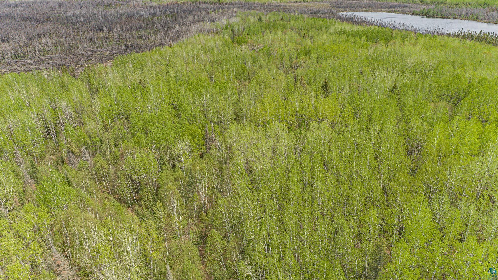 Tbd Stony Loop Road Isabella, MN 55607 - Photo 29 of 29