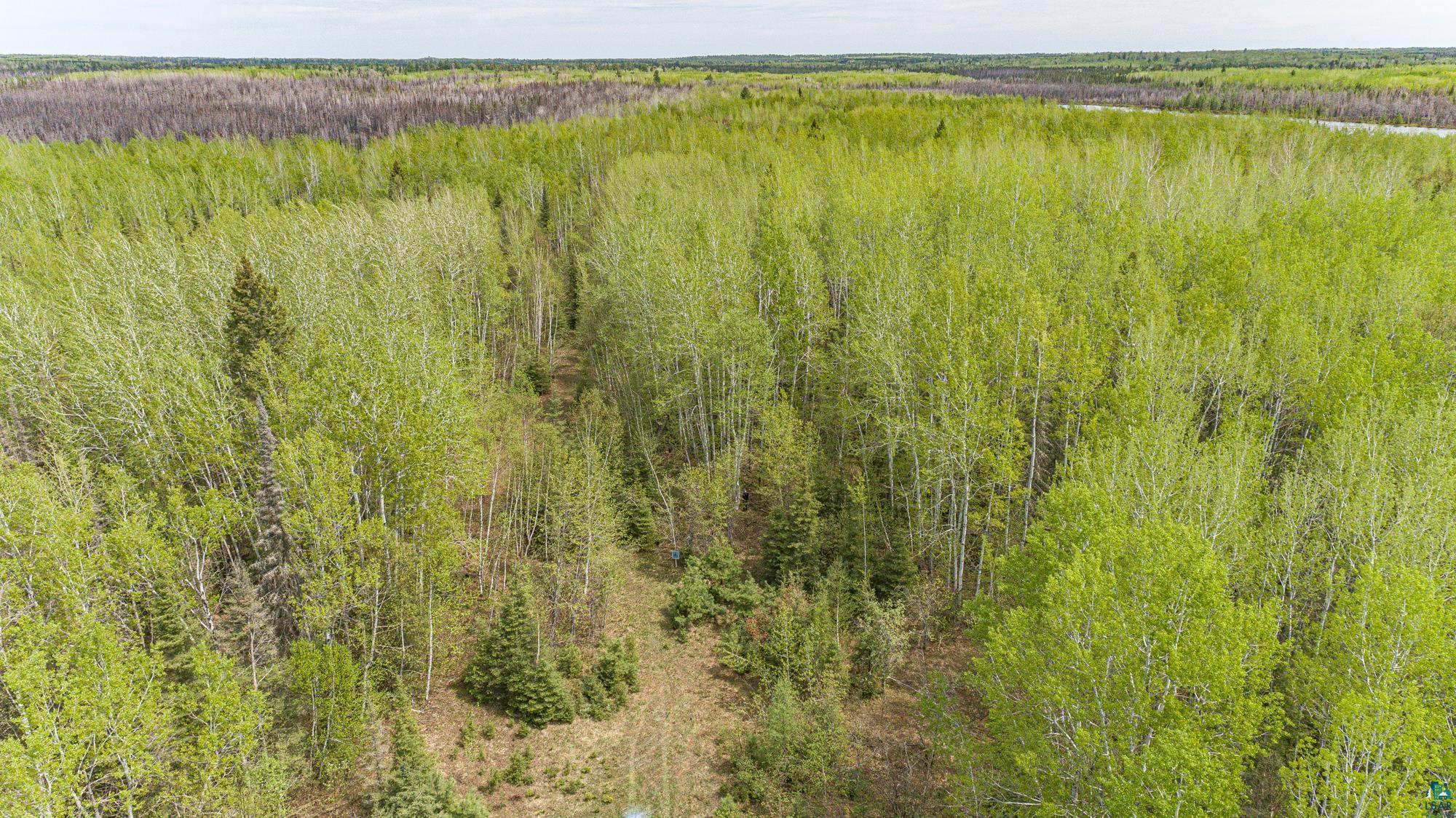 Tbd Stony Loop Road Isabella, MN 55607 - Photo 9 of 29