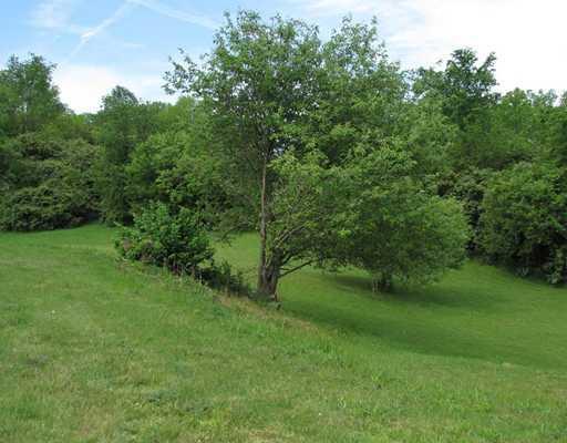 3391 North Mutual Union Road Cable, OH 43009 - Photo 14 of 14