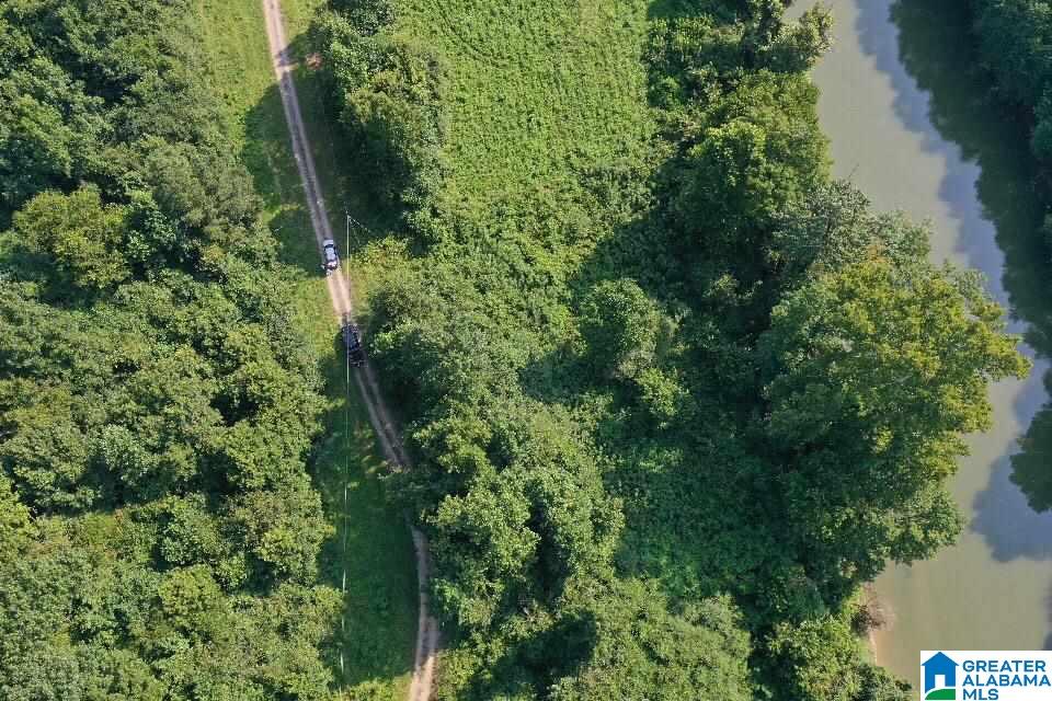 0 Sherwood Forest Road, Unit 1 Empire, AL 35063 - Photo 2 of 7
