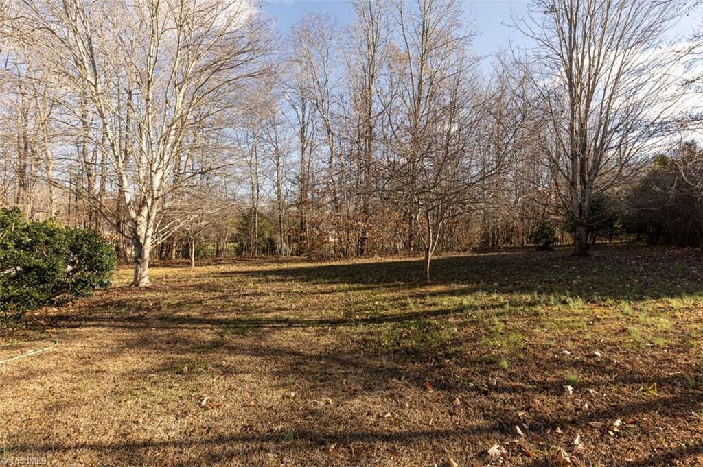 3315 Elizabeth Walters Road Efland, NC 27243 - Photo 33 of 33