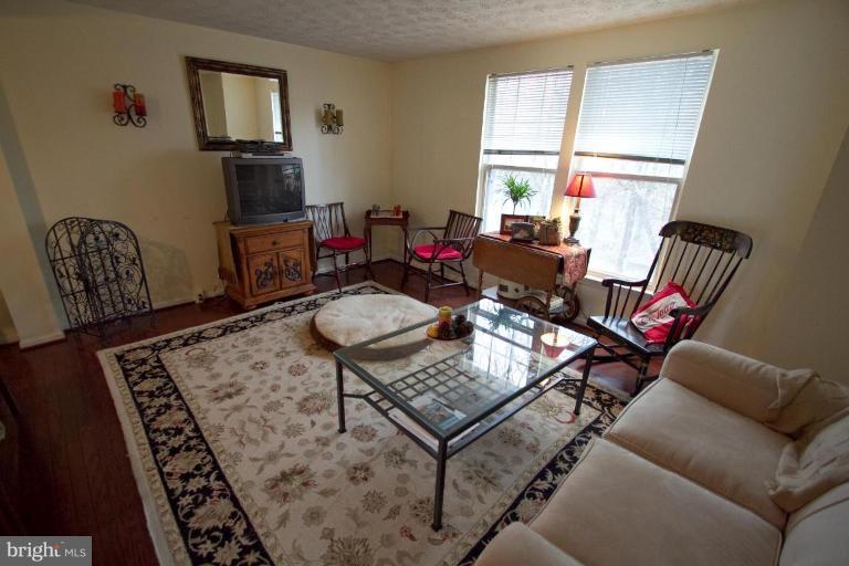 1635 Fieldthorn Drive Reston, VA 20194 - Photo 2 of 20 Living Room