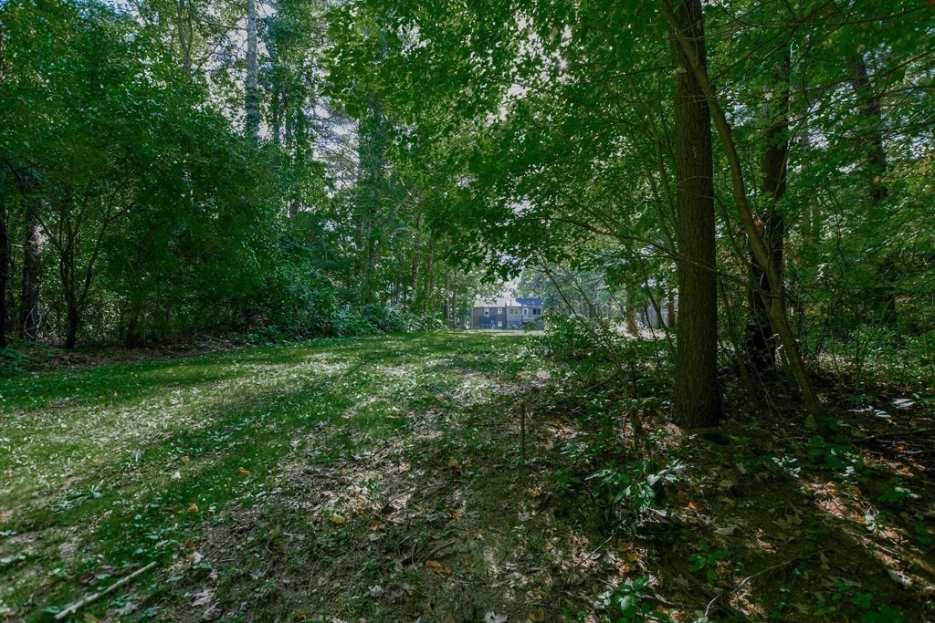 63 Papermill Road Wareham, MA 02576 - Photo 7 of 42 a view of a lush green forest
