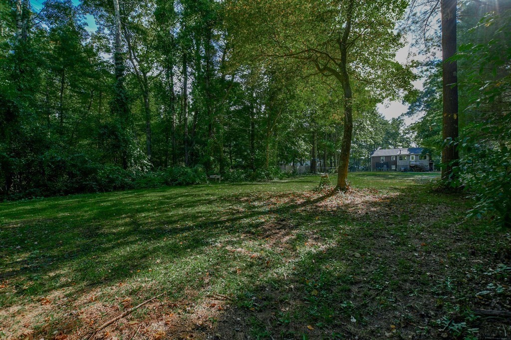 63 Papermill Road Wareham, MA 02576 - Photo 8 of 42 a view of outdoor space with green field and trees
