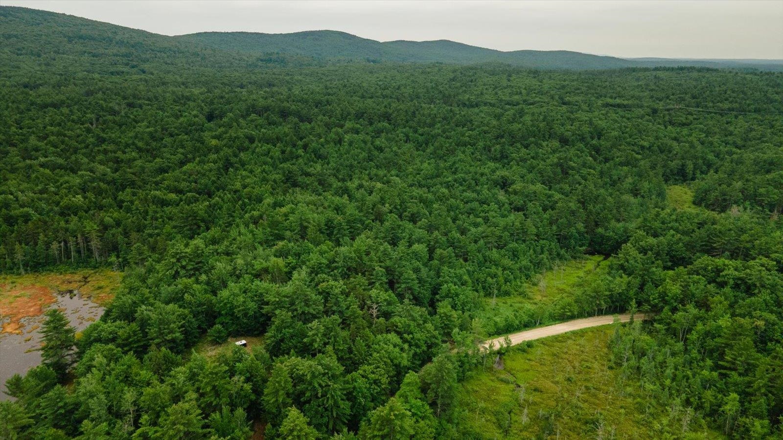 Lot 0 Pine Road New Ipswich, NH 03071 - Photo 7 of 15 Gallery Image 7