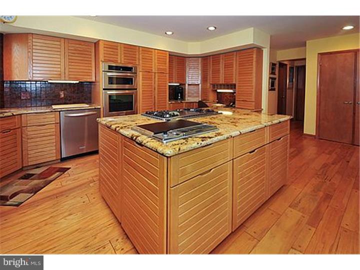 611 Harts Ridge Road Conshohocken, PA 19428 - Photo 8 of 25 Kitchen
