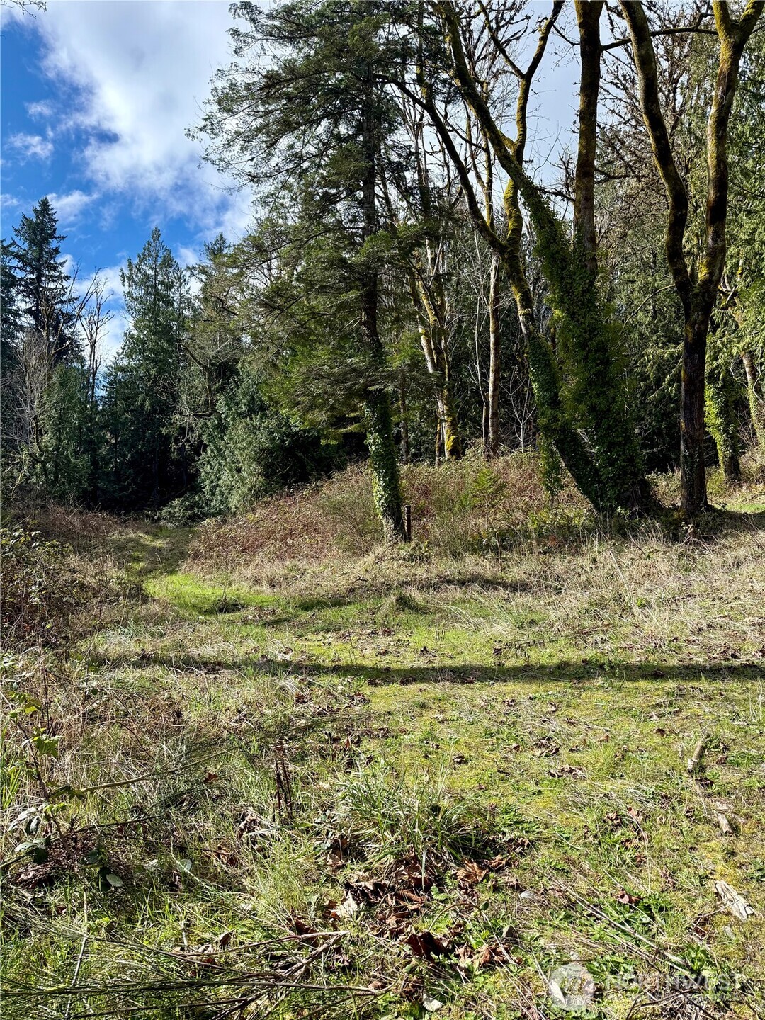 1080 Linger Longer Road Quilcene, WA 98376 - Photo 11 of 31