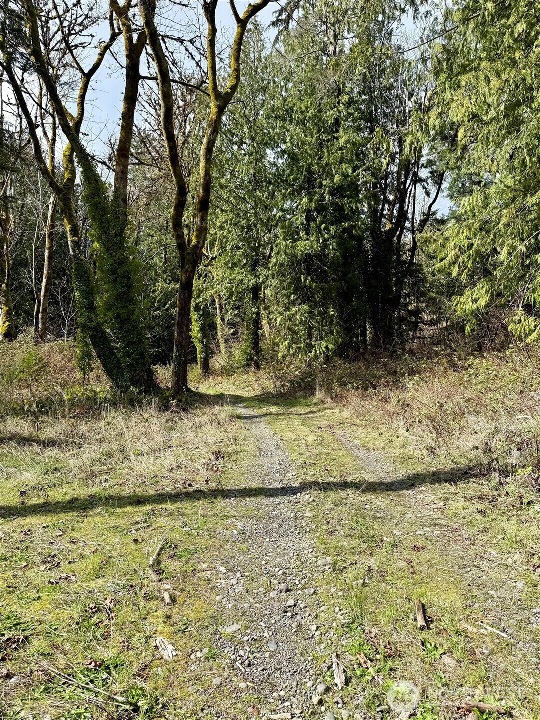 1080 Linger Longer Road Quilcene, WA 98376 - Photo 12 of 31