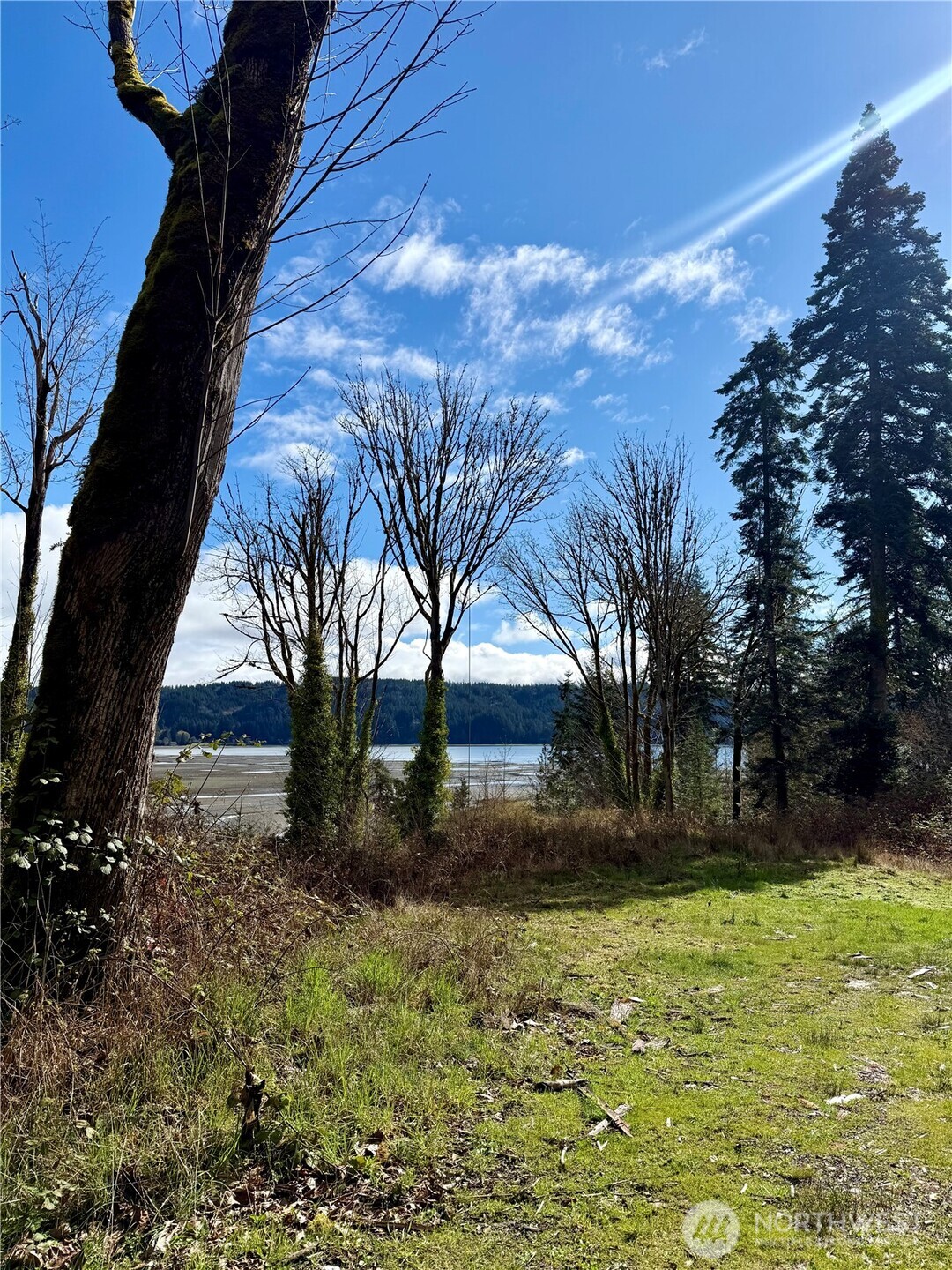 1080 Linger Longer Road Quilcene, WA 98376 - Photo 13 of 31