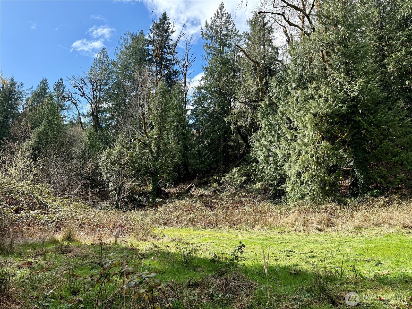 1080 Linger Longer Road Quilcene, WA 98376 - Photo 16 of 31