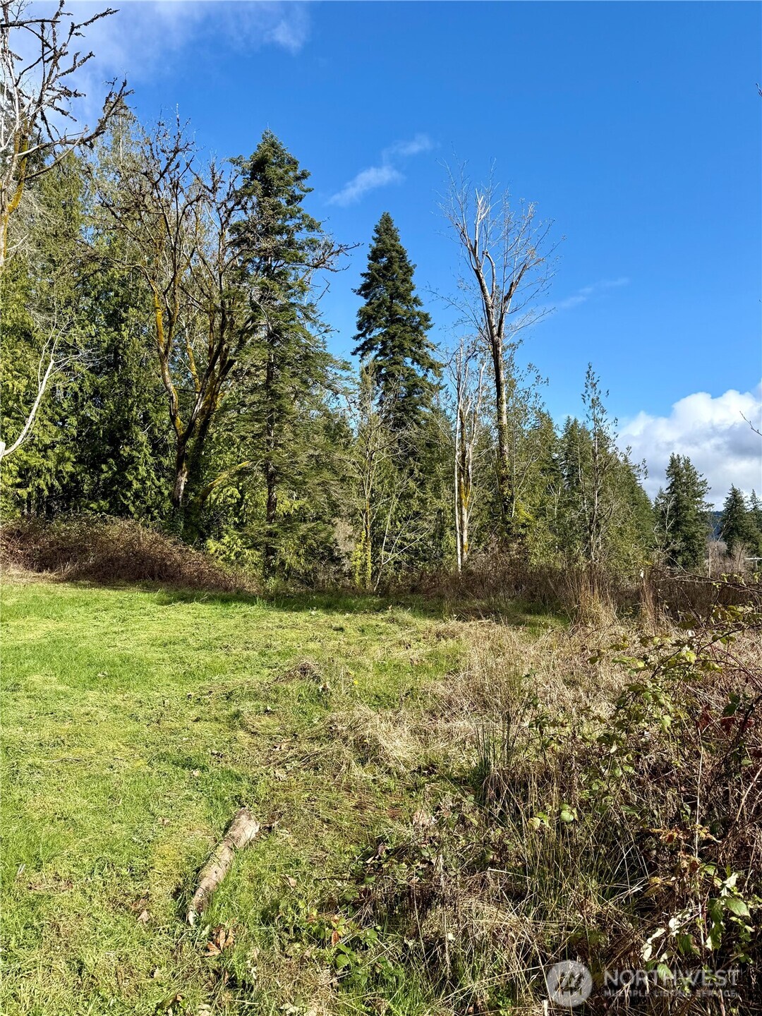 1080 Linger Longer Road Quilcene, WA 98376 - Photo 17 of 31