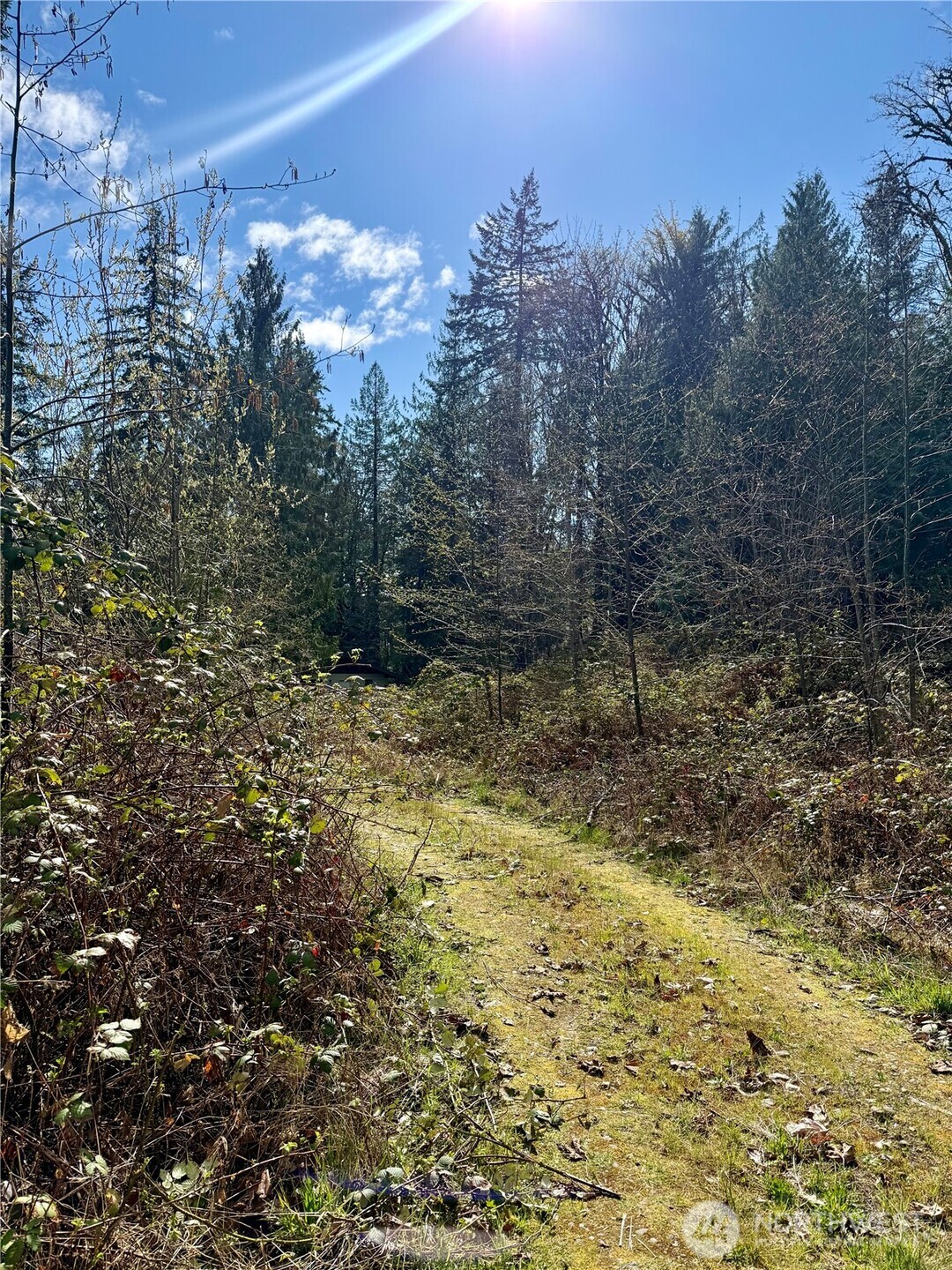 1080 Linger Longer Road Quilcene, WA 98376 - Photo 19 of 31