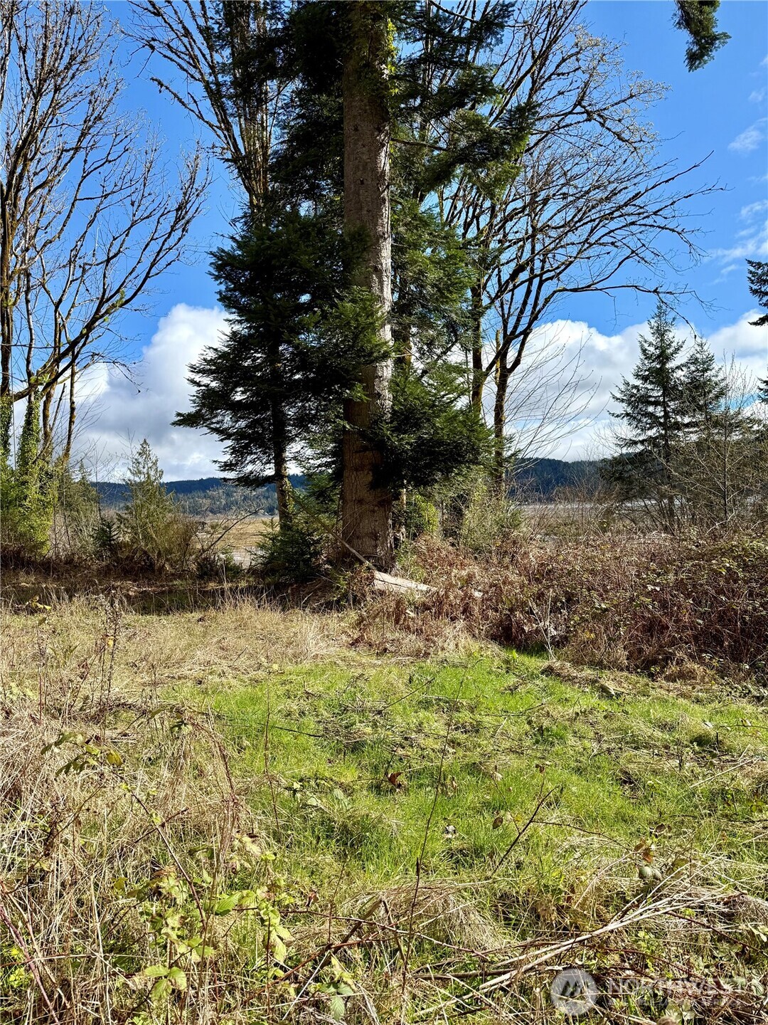 1080 Linger Longer Road Quilcene, WA 98376 - Photo 20 of 31