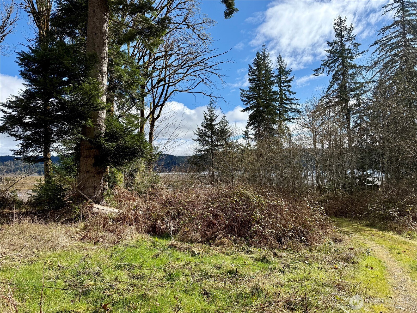 1080 Linger Longer Road Quilcene, WA 98376 - Photo 21 of 31