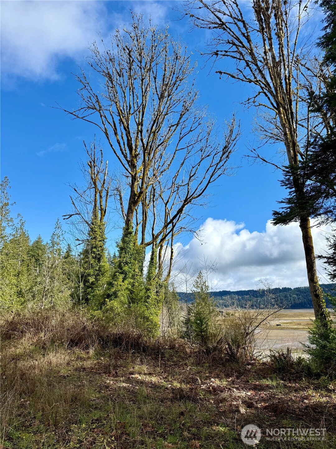 1080 Linger Longer Road Quilcene, WA 98376 - Photo 22 of 31