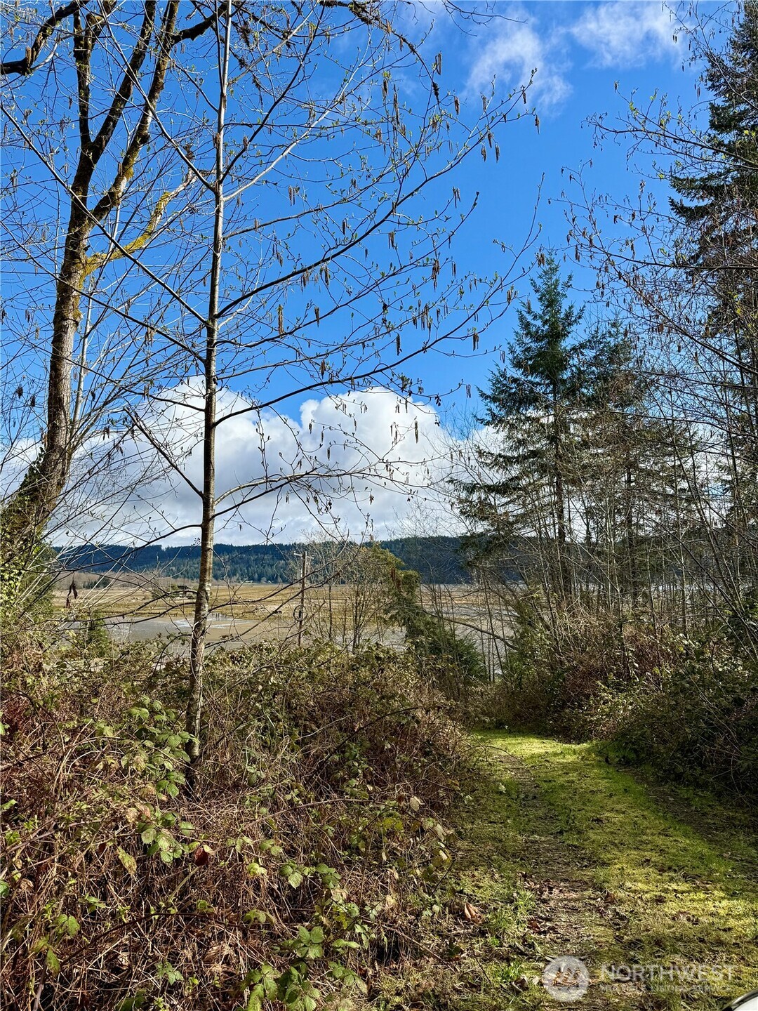 1080 Linger Longer Road Quilcene, WA 98376 - Photo 24 of 31