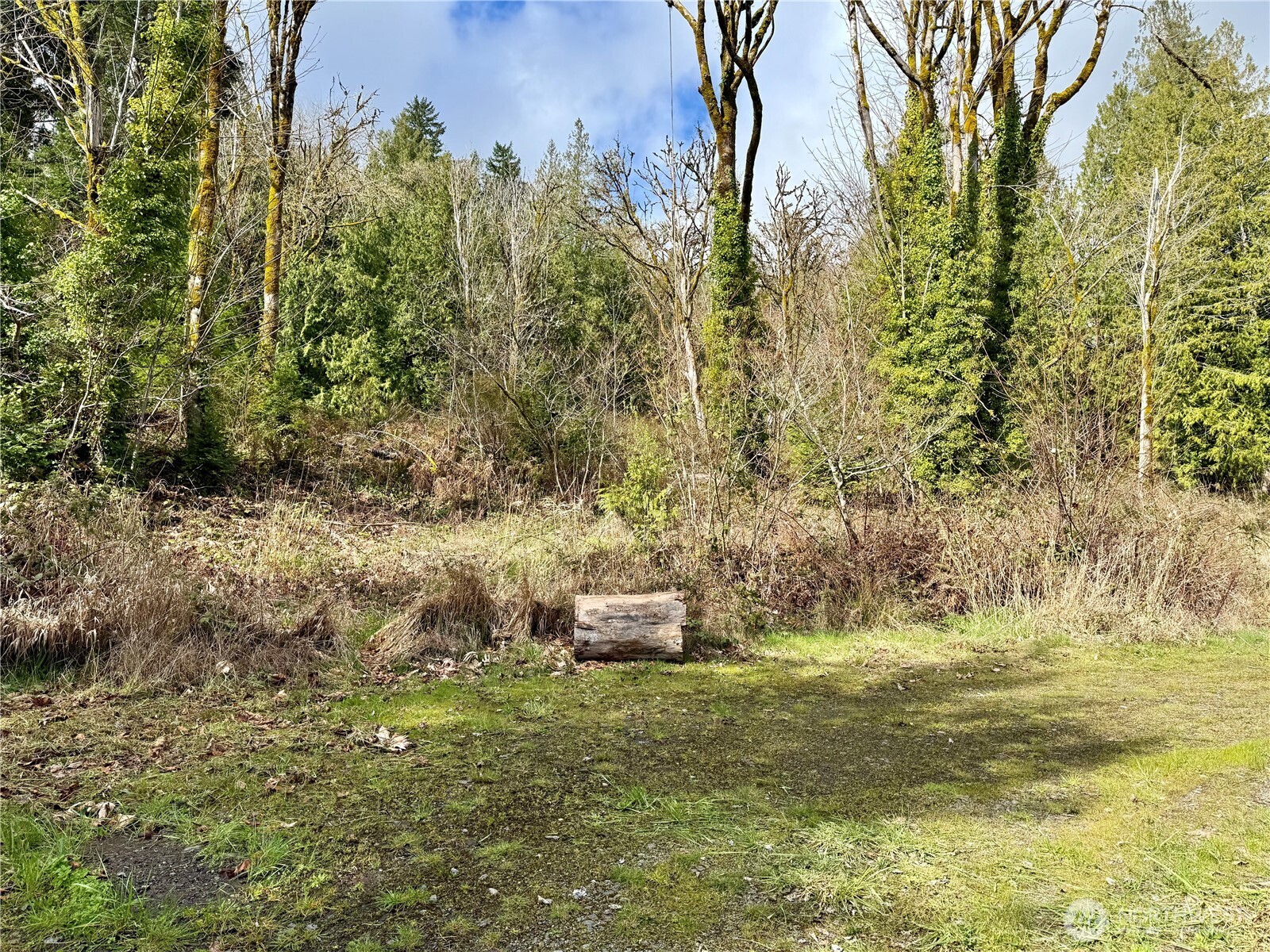 1080 Linger Longer Road Quilcene, WA 98376 - Photo 25 of 31