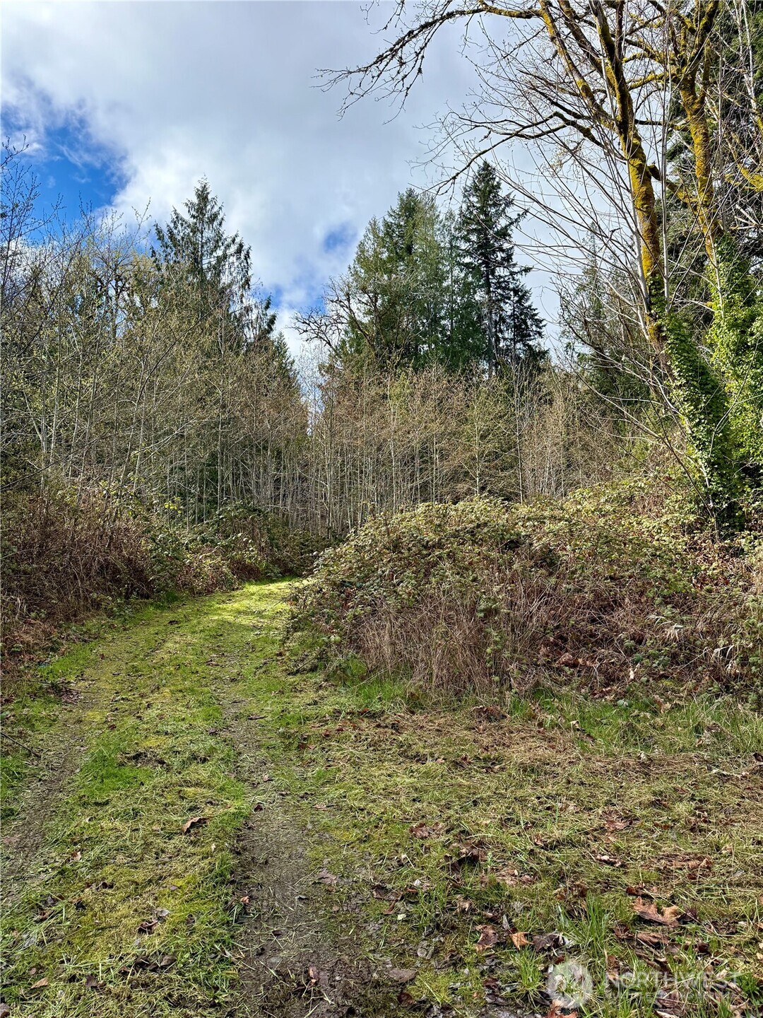 1080 Linger Longer Road Quilcene, WA 98376 - Photo 27 of 31