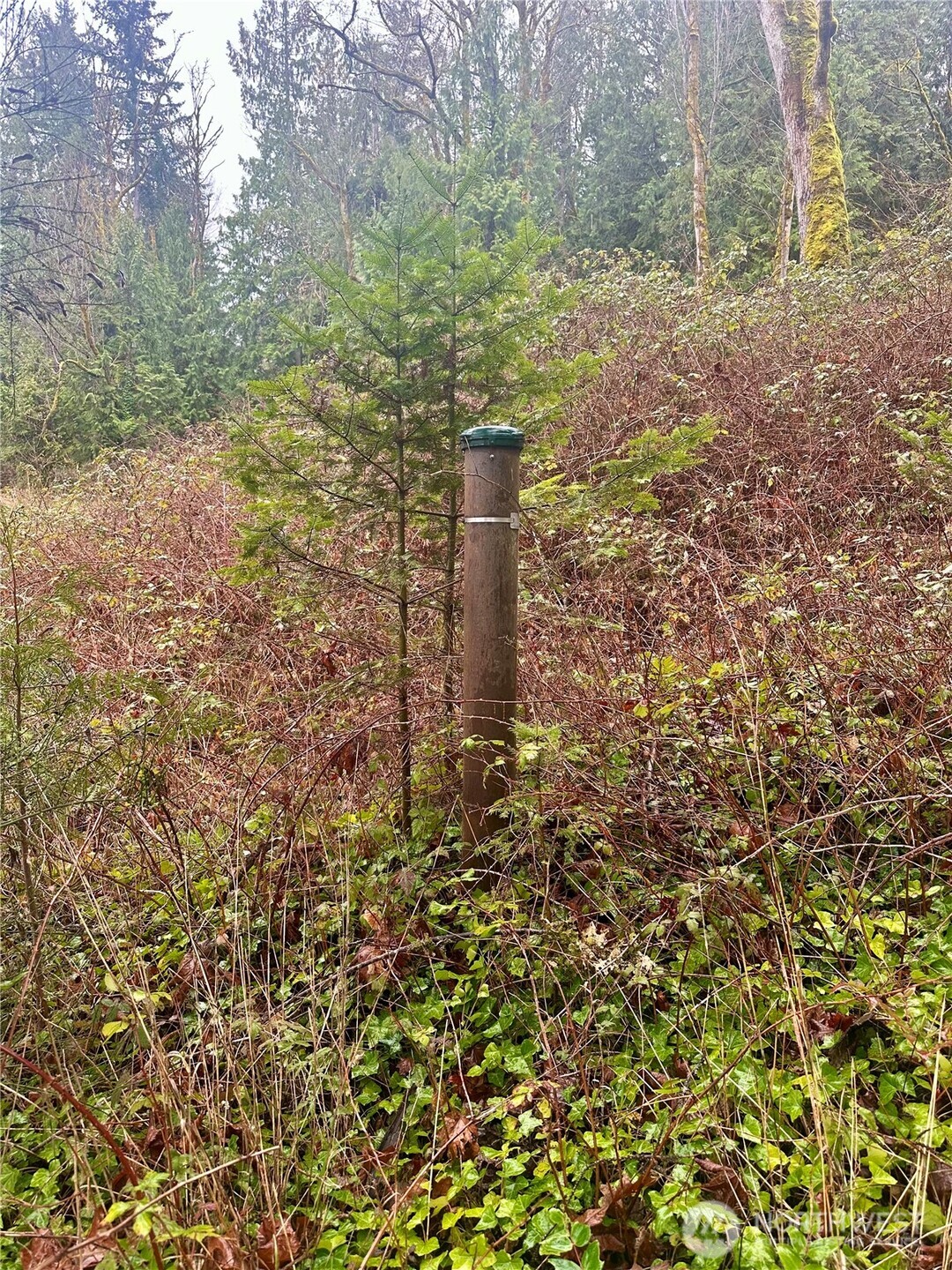 1080 Linger Longer Road Quilcene, WA 98376 - Photo 29 of 31