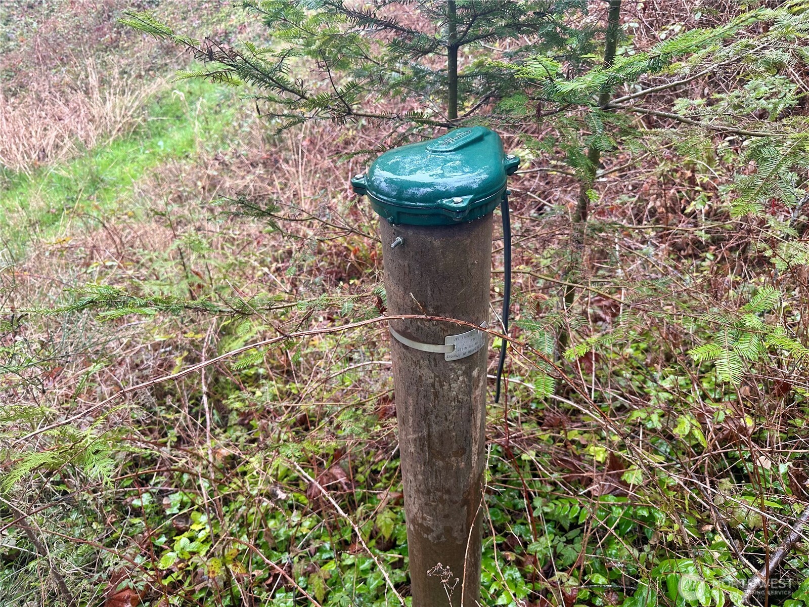 1080 Linger Longer Road Quilcene, WA 98376 - Photo 30 of 31