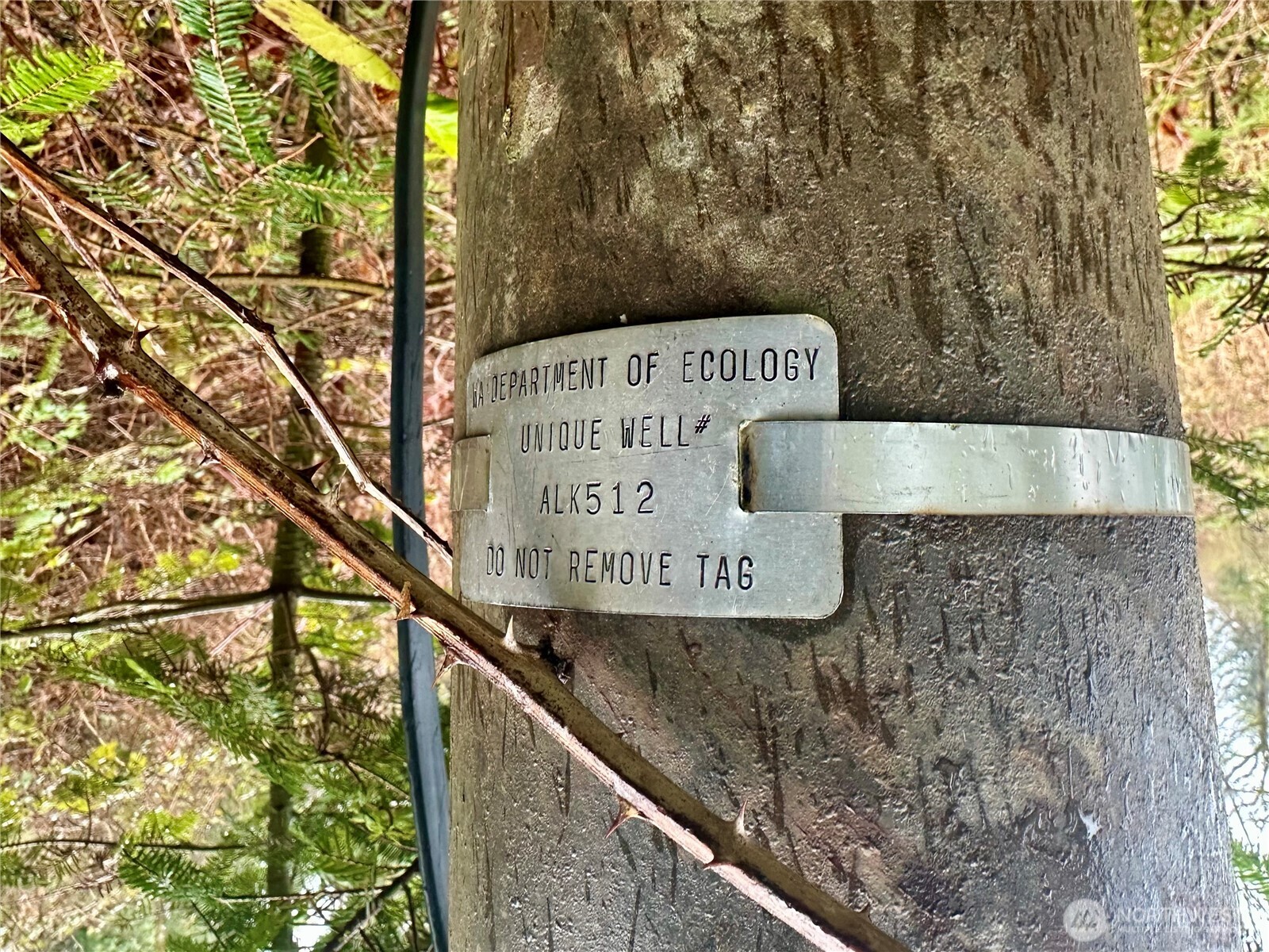 1080 Linger Longer Road Quilcene, WA 98376 - Photo 31 of 31