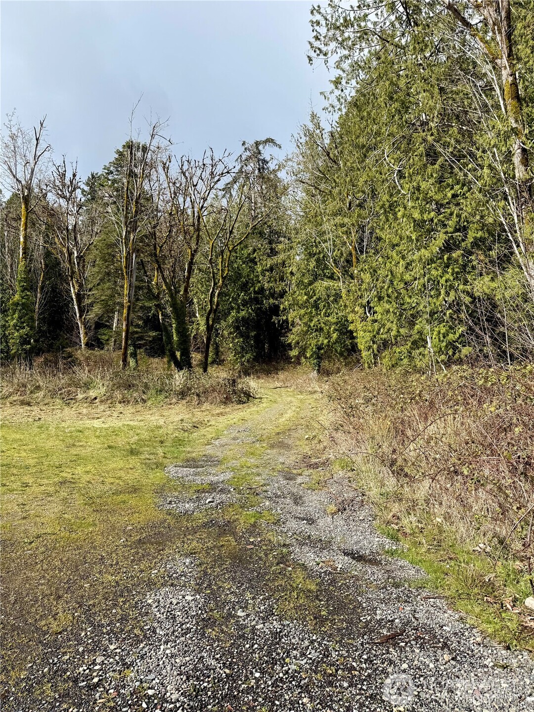 1080 Linger Longer Road Quilcene, WA 98376 - Photo 6 of 31