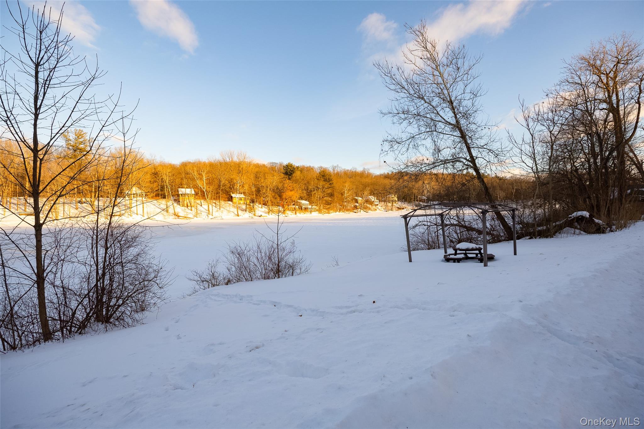 563 Spring Lake Road Red Hook, NY 12571 - Photo 25 of 33 a view of a lake with a beach