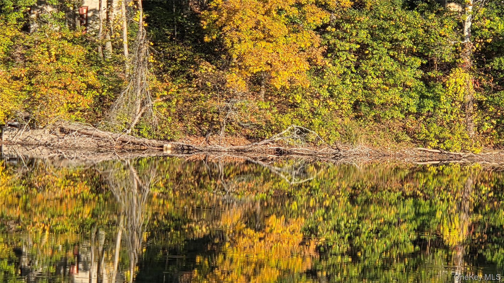 563 Spring Lake Road Red Hook, NY 12571 - Photo 30 of 33