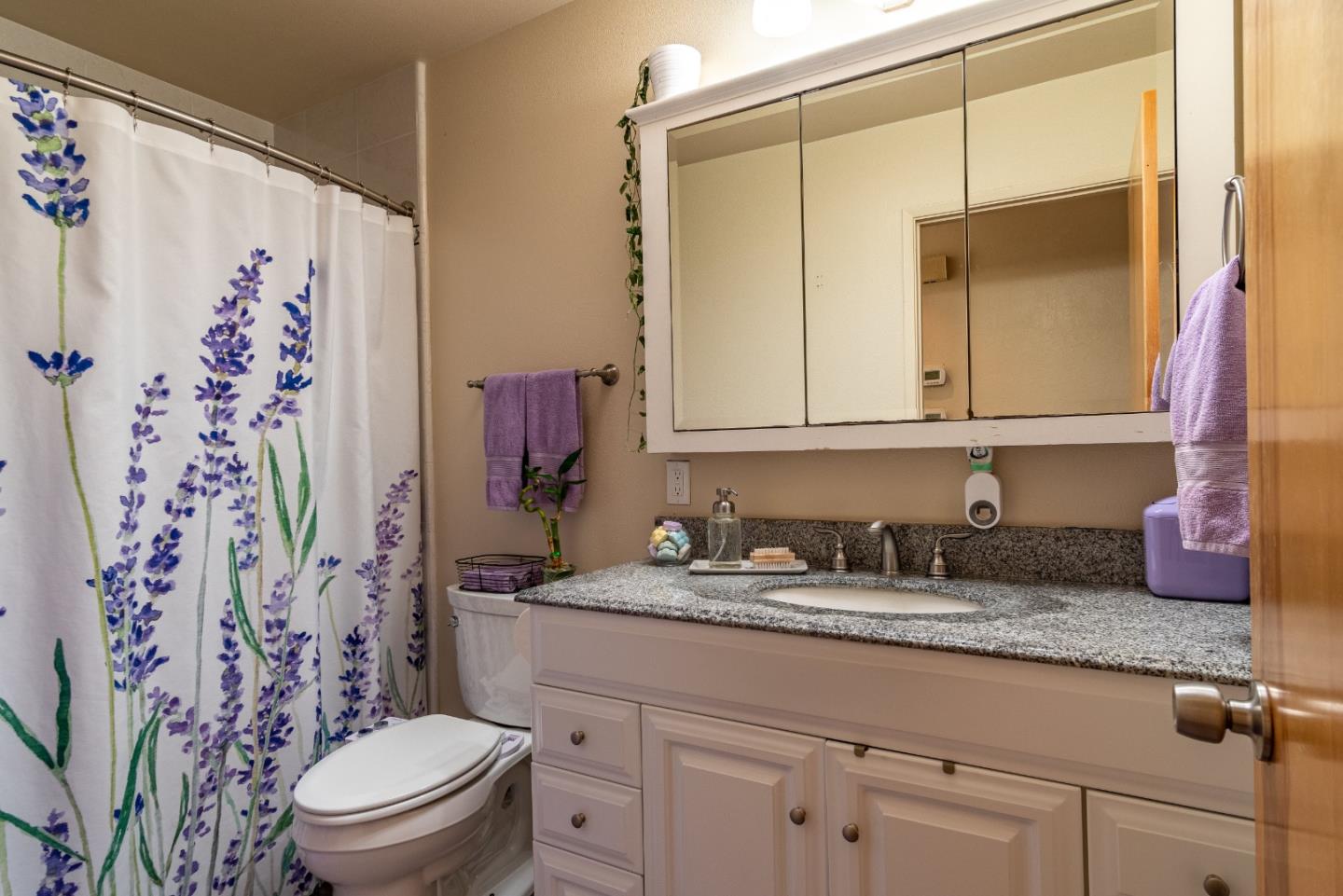 161 San Benancio Road Salinas, CA 93908 - Photo 13 of 44 a bathroom with a granite countertop sink a toilet and a mirror