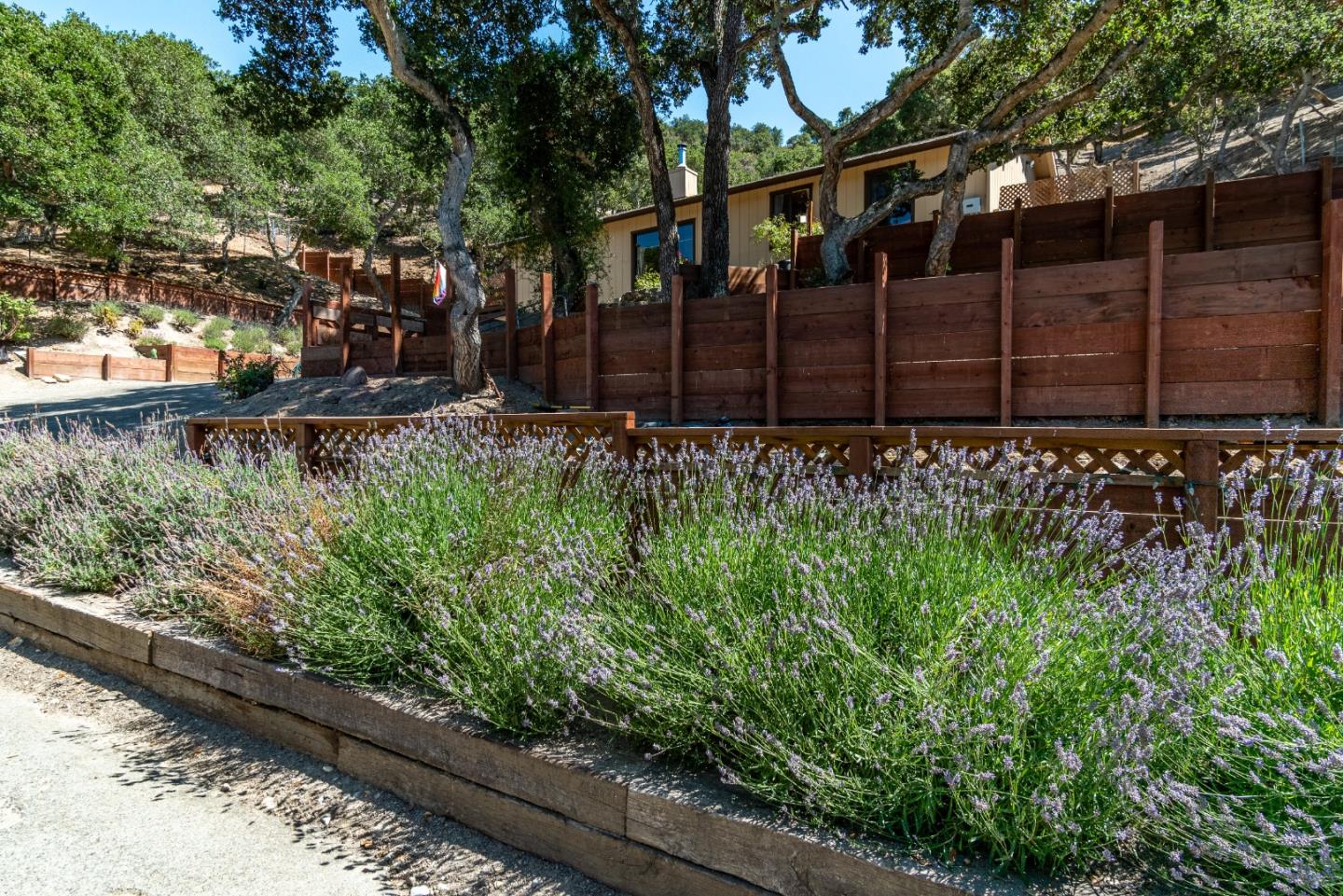 161 San Benancio Road Salinas, CA 93908 - Photo 39 of 44 a view of a yard with plants