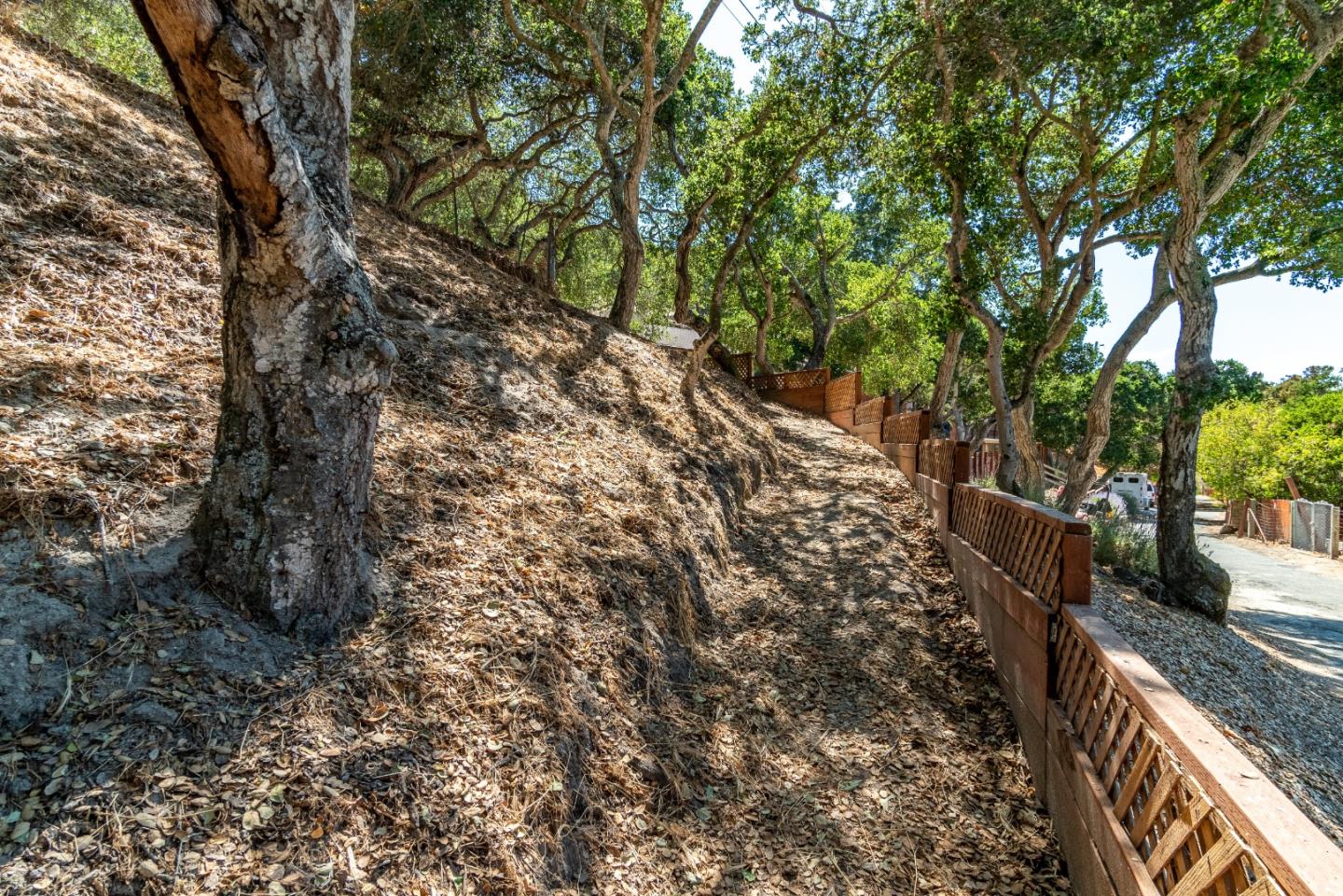 161 San Benancio Road Salinas, CA 93908 - Photo 43 of 44 a view of a yard with an trees