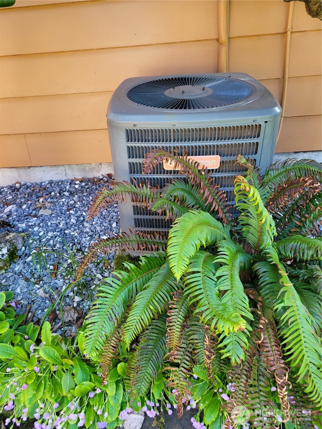 485 Spiketon Road Buckley, WA 98321 - Photo 24 of 27