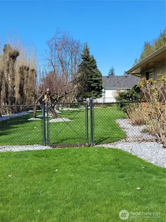 a view of a park with large trees