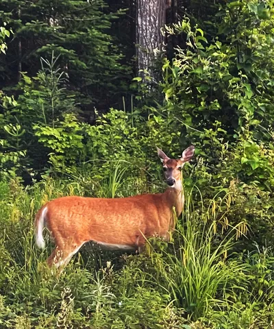 $748,000 | Tbd Tbd Paradise Lane, Rockwood, ME 04478